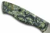 Knife with Kambaba Jasper Inlays & Base - Hand-Crafted In Utah #370845-4